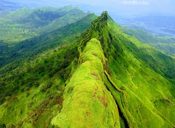 Awesome Image